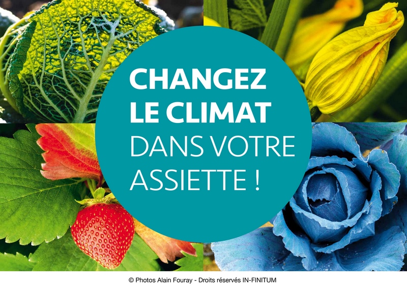 Alain Fouray